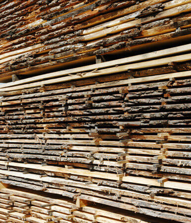 Waney edge English oak drying