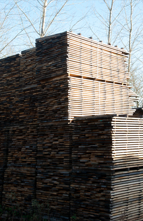 European Oak Sawn Timber