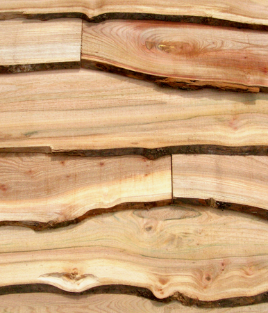 Elm для рено