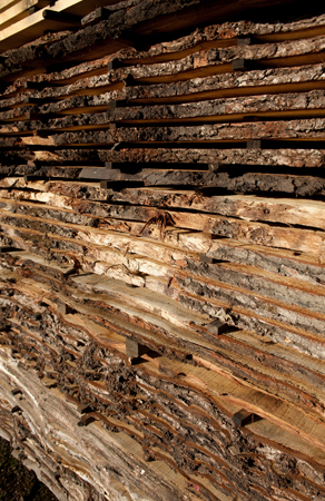 Waney edge English brown oak drying