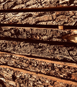 Prime / First grade oak
