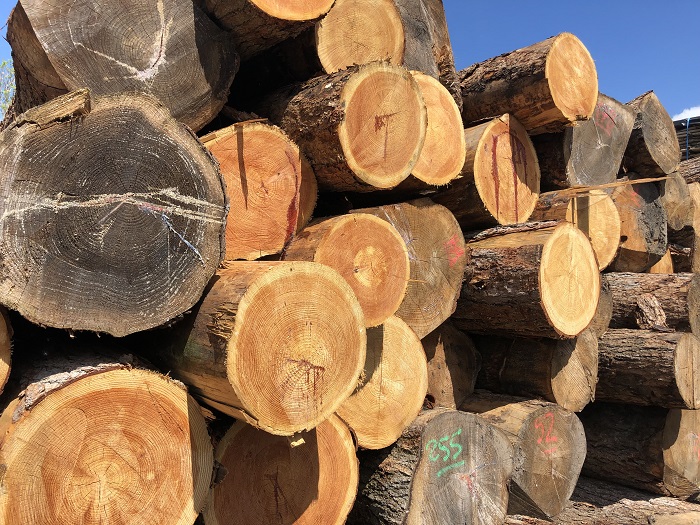 Larch Logs