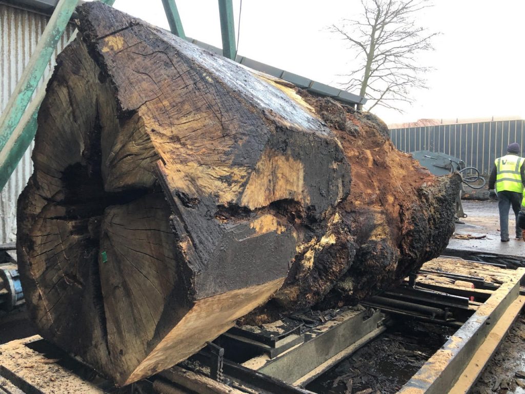 Oak from Windsor