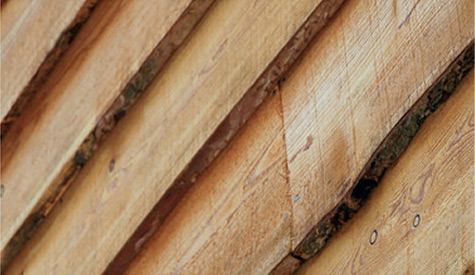 Larch Cladding