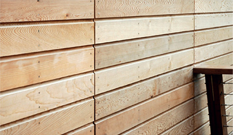 Cedar Cladding