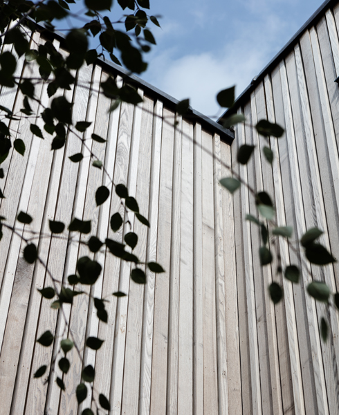 Brimstone Ash Cladding