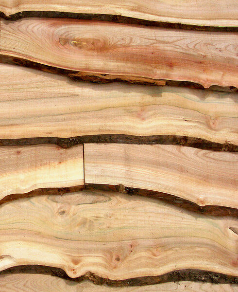 British Elm Cladding