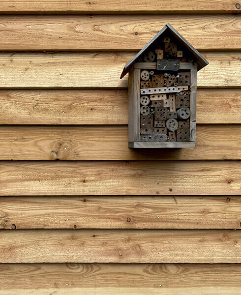 Green British Larch / Douglas Fir Cladding