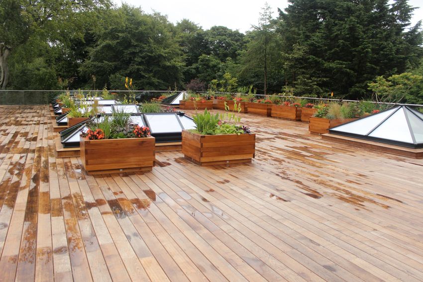 Brimstone Ash Decking