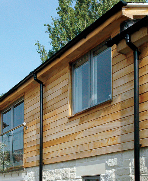 Jointed sweet chestnut TG&V 