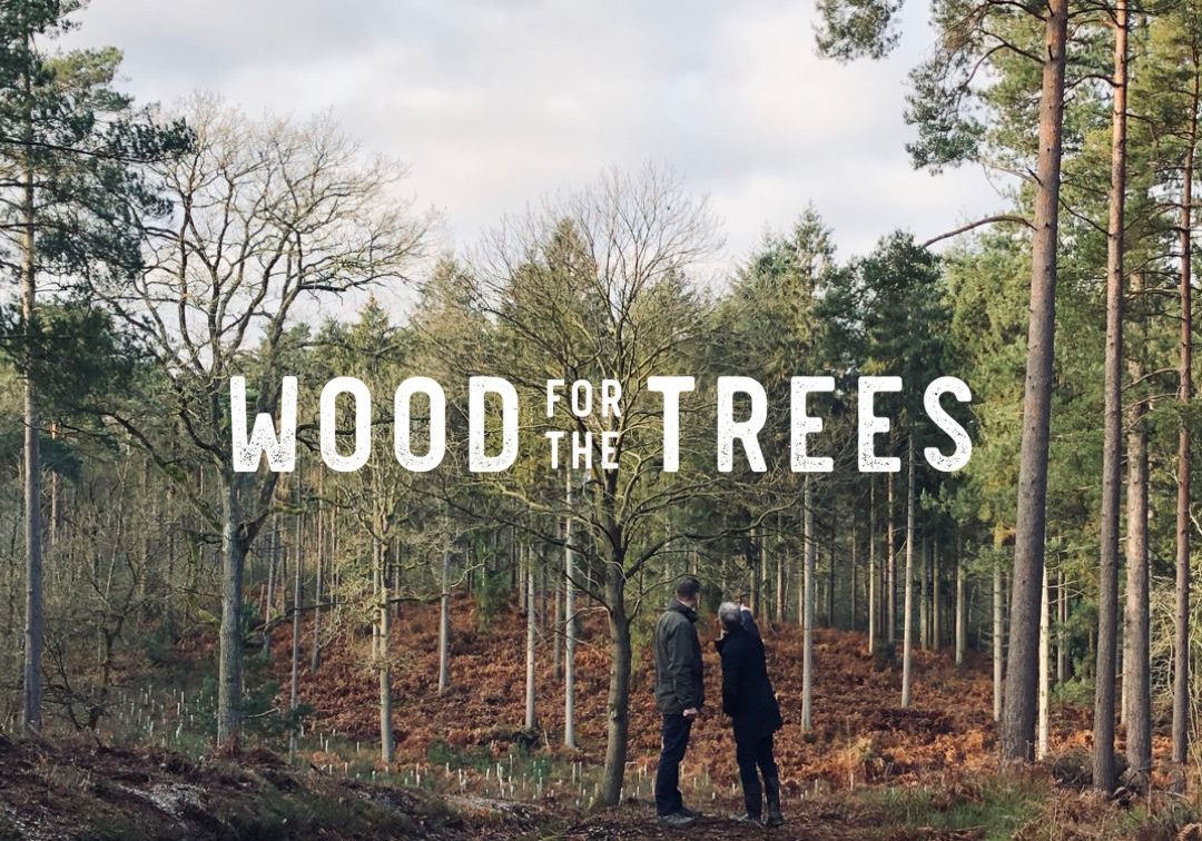 Films about the future of UK forests