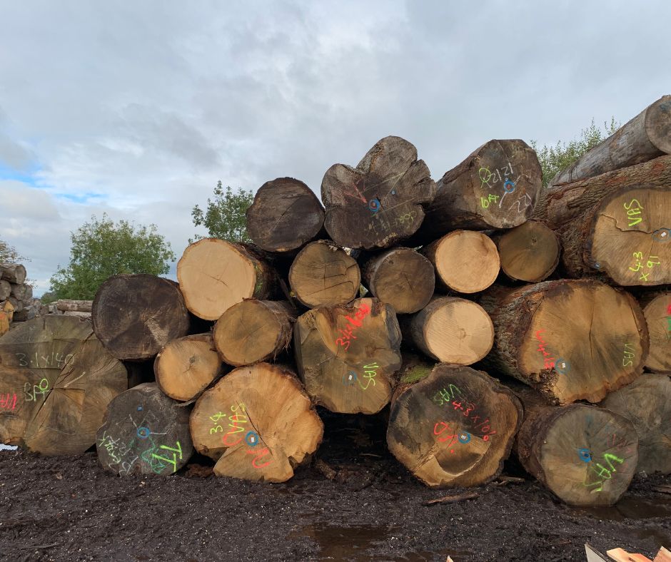 Oak butts at our Studley Sawmill