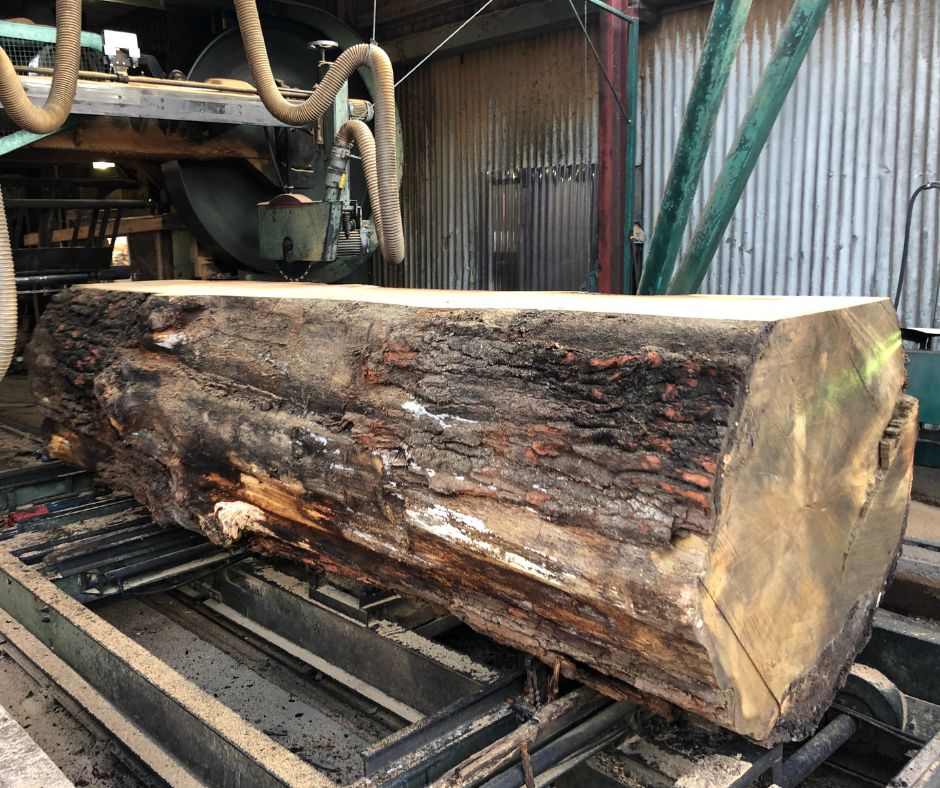 Sawing Oak Logs on our Large Horizontal Saw