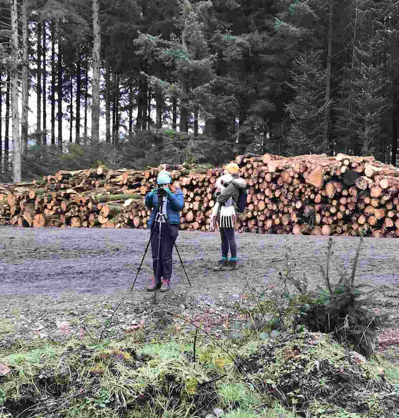 Seven success stories from our 1 Woodland Tax funding in 2022. Vastern