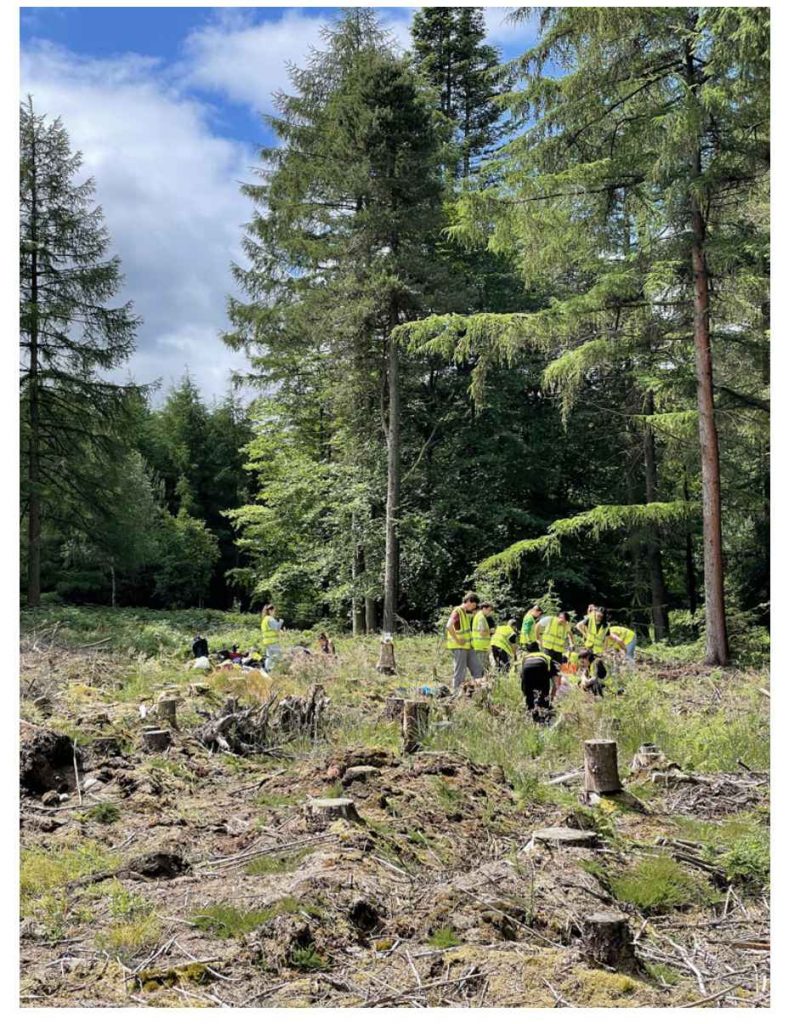 Dalby Forest in Yorkshire