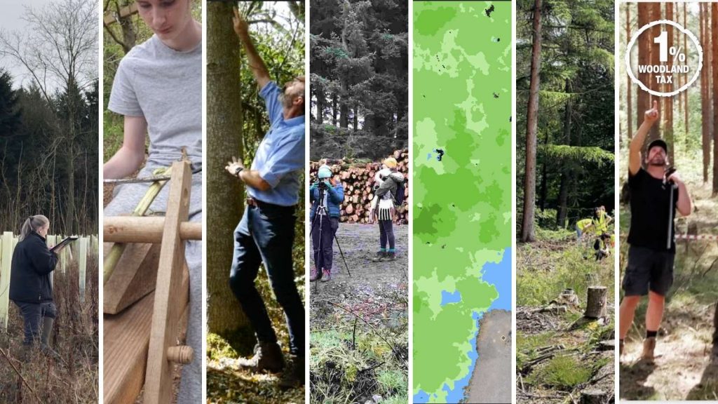 Seven success stories from our 1 Woodland Tax funding in 2022. Vastern