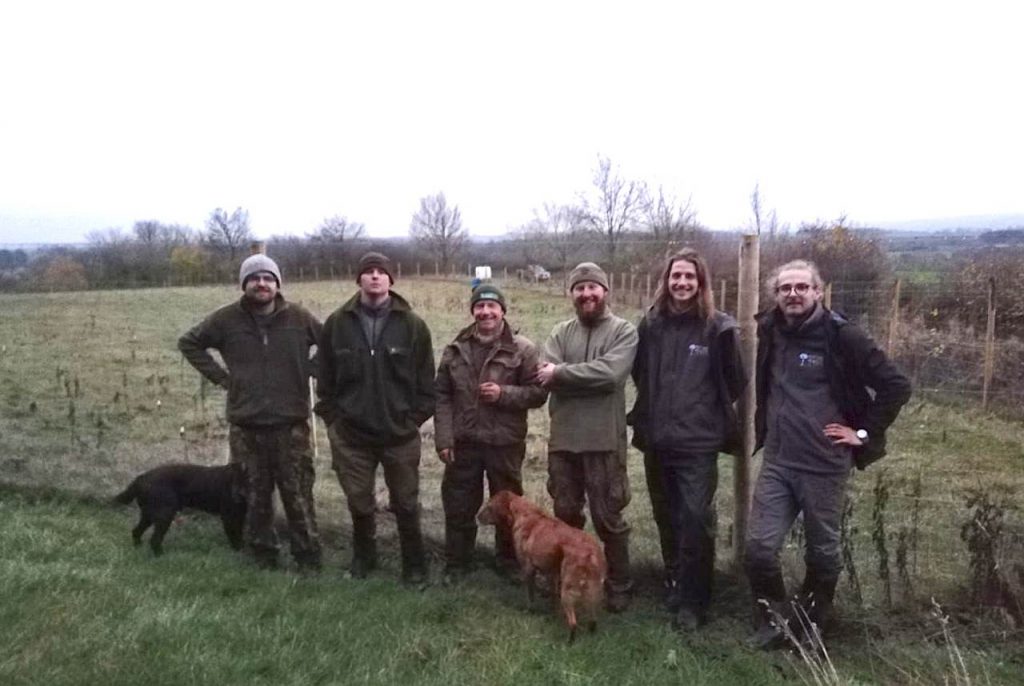 Sycamore Studies at Future Trees Trust