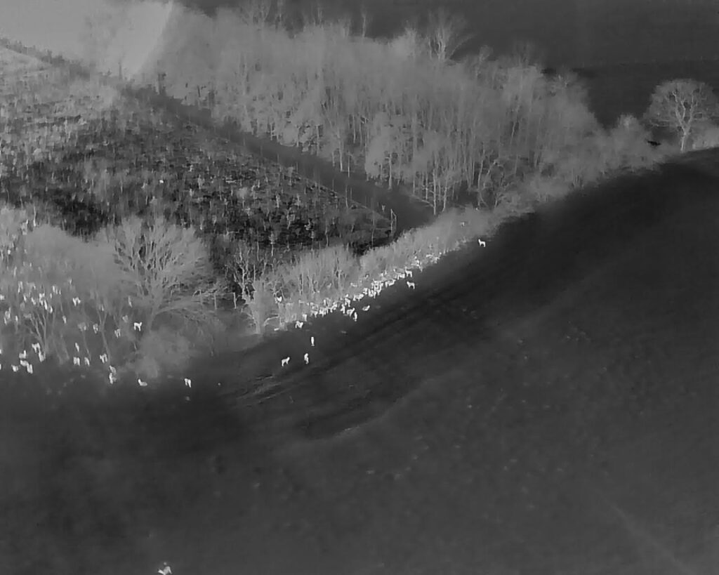 1 Woodland Tax helps GiB TechScope explore Remote Sensing and AI Vastern