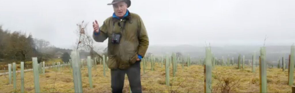 Rewilding in Yorkshire