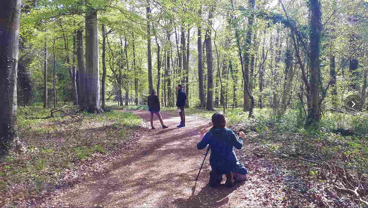 Woodland Management at Bathurst