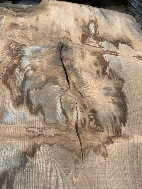 Elm 03289
