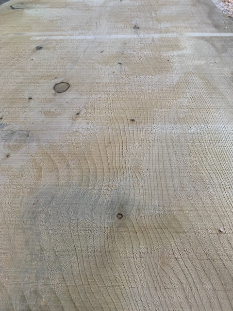 Cedar of Lebanon 03422