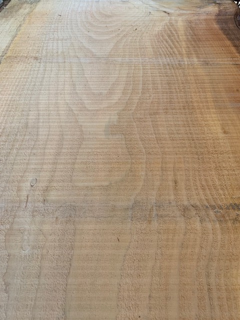 Cedar of Lebanon 03532