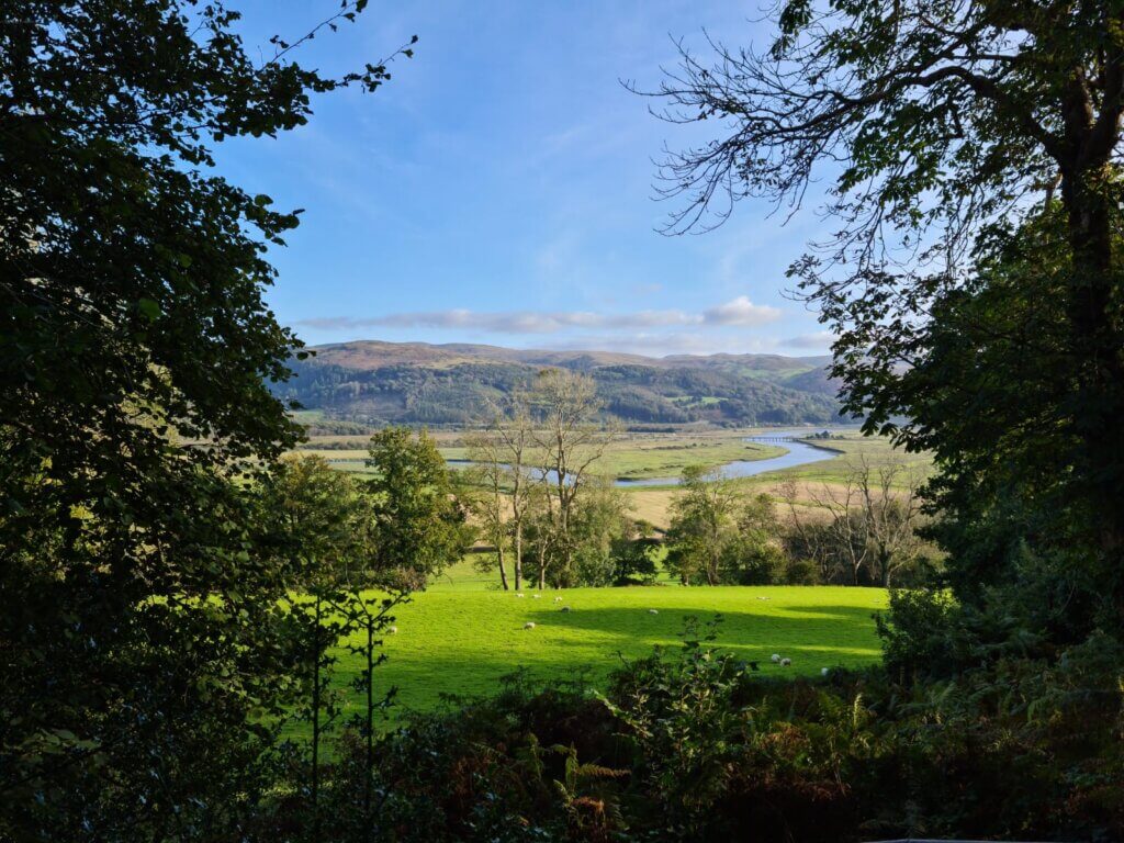 Mixed broadleaf woodland overlooking a river valley, with grazed pasture and sheep in the foreground and a Sitka spruce plantation across the hillside in the distance.