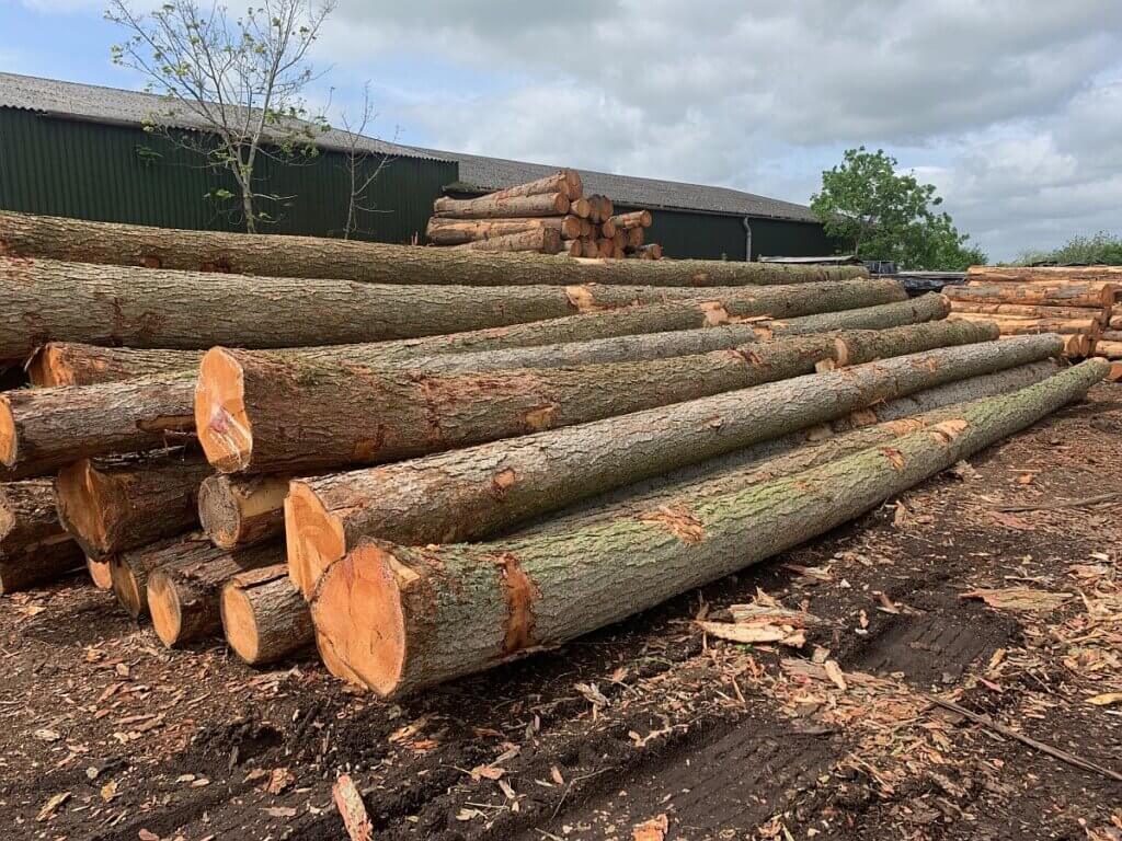 Large logs piled high