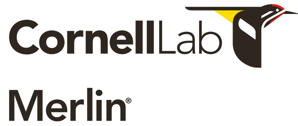 April 2026 News from the Sawmill - Vastern