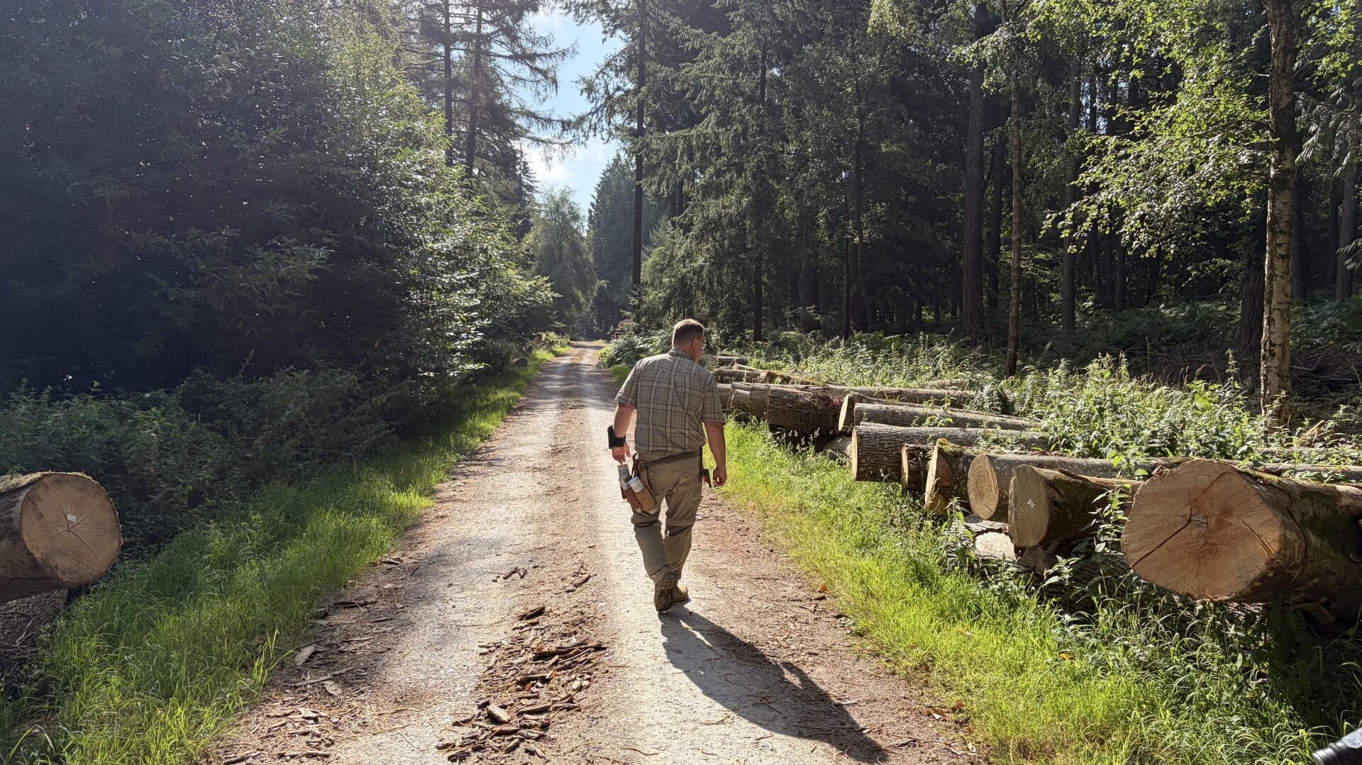 Rupert in the forest looking for wood